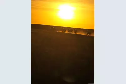 Parrot Drive, Alamosa, CO 81101 - Photo 3