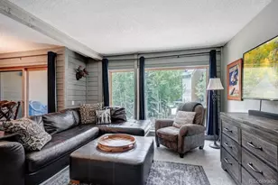 145 Wheeler Pl, Copper Mountain, CO 80443 - Photo 5