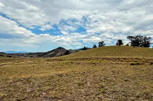 Cherokee Trail, Hartsel, CO 80449 - Photo 1