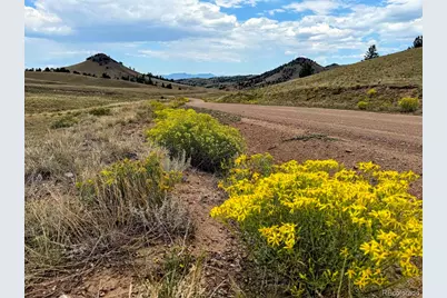 Cherokee Trail, Hartsel, CO 80449 - Photo 5