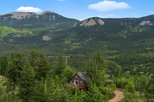 229 McDougal Rd, Bailey, CO 80421 - Photo 13