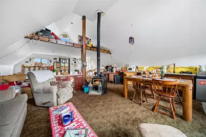 229 McDougal Road, Bailey, CO 80421 - Photo 19