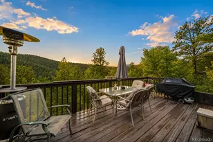 229 McDougal Rd, Bailey, CO 80421 - Photo 5