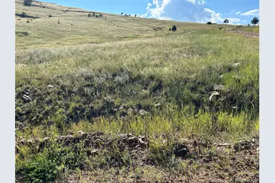 Shideler Street, Cripple Creek, CO 80813 - Photo 1