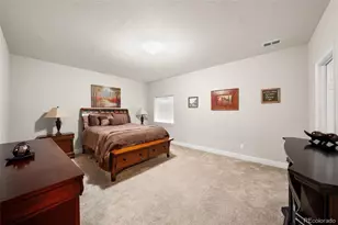 5238 Cherry Blossom Dr, Brighton, CO 80601 - Photo 39