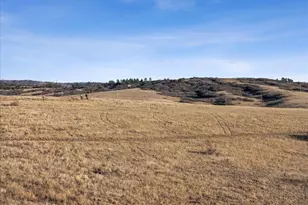 1045 Brocade Dr, Highlands Ranch, CO 80126 - Photo 49