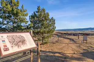 1045 Brocade Dr, Highlands Ranch, CO 80126 - Photo 7