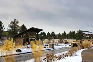 1045 Brocade Dr, Highlands Ranch, CO 80126 - Photo 41