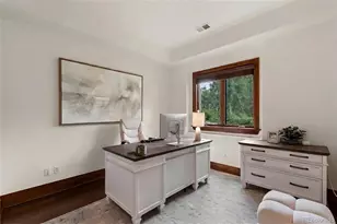 1043 Meteor Pl, Castle Rock, CO 80108 - Photo 37