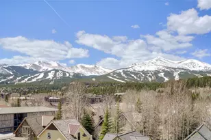 301 N French St, Breckenridge, CO 80424 - Photo 23
