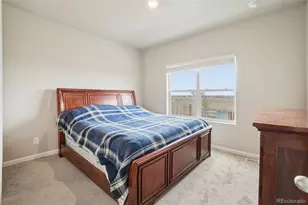 1053 Gianna Ave, Fort Lupton, CO 80621 - Photo 15