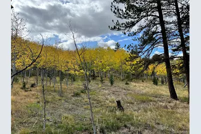 Lot 20A Echo Lake Drive, Lake George, CO 80827 - Photo 9