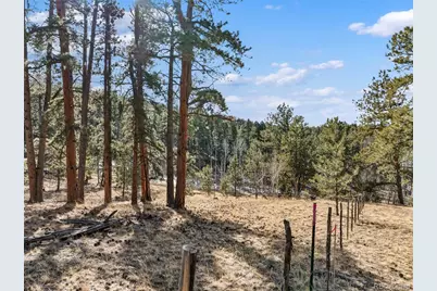 Lot 20A Echo Lake Drive, Lake George, CO 80827 - Photo 5