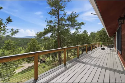 202 Badger Lane, Bailey, CO 80421 - Photo 21