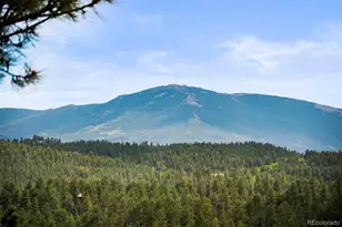 202 Badger Ln, Bailey, CO 80421 - Photo 27