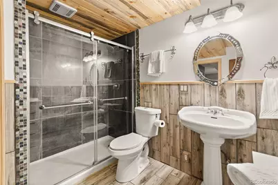202 Badger Lane, Bailey, CO 80421 - Photo 39