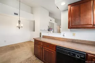 5800 Tower Rd, Denver, CO 80249 - Photo 7