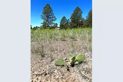 10290 Democrat Road, Parker, CO 80134 - Photo 15