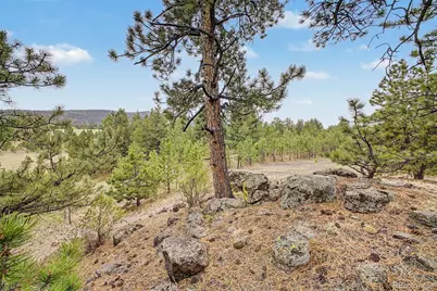 0 Ranger Station Road, Florissant, CO 80816 - Photo 21