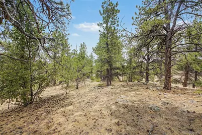 0 Ranger Station Road, Florissant, CO 80816 - Photo 23