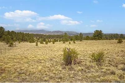 0 Ranger Station Road, Florissant, CO 80816 - Photo 13