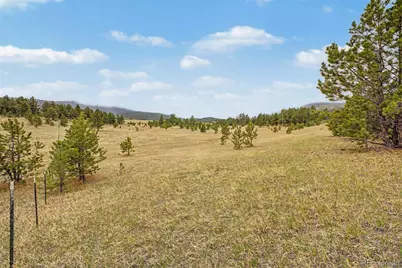 0 Ranger Station Road, Florissant, CO 80816 - Photo 3
