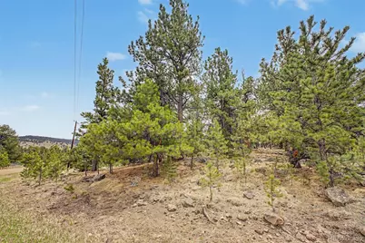 0 Ranger Station Road, Florissant, CO 80816 - Photo 25