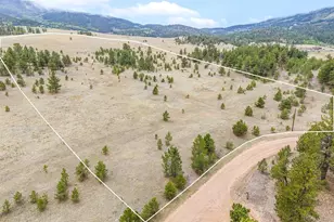 0 Ranger Station Rd, Florissant, CO 80816 - Photo 1