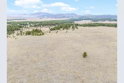 0 Ranger Station Road, Florissant, CO 80816 - Photo 33