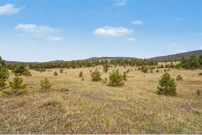 0 Ranger Station Road, Florissant, CO 80816 - Photo 19