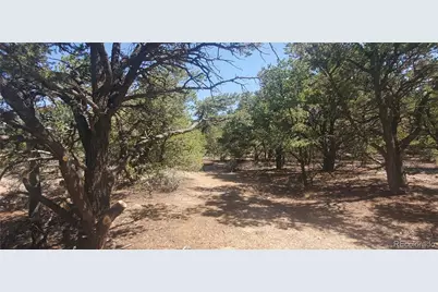 Lot 1412 Michaels Road, Fort Garland, CO 81133 - Photo 3