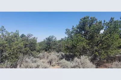 Lot 1412 Michaels Road, Fort Garland, CO 81133 - Photo 9