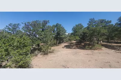 Lot 1412 Michaels Road, Fort Garland, CO 81133 - Photo 1
