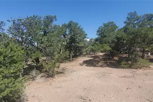 Lot 1412 Michaels Rd, Fort Garland, CO 81133 - Photo 1
