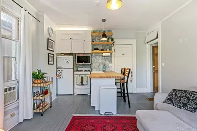 1138 N Clarkson Street, Denver, CO 80218 - Photo 19