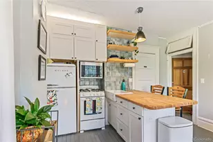 1138 N Clarkson St, Denver, CO 80218 - Photo 23
