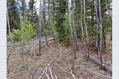 6242 Remington Road, Como, CO 80432 - Photo 11