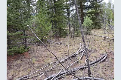 6242 Remington Road, Como, CO 80432 - Photo 23