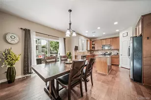 18236 Shadbury Ln, Parker, CO 80134 - Photo 3