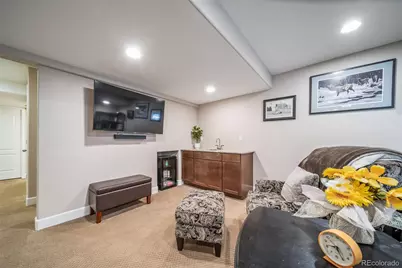 18236 Shadbury Lane, Parker, CO 80134 - Photo 29