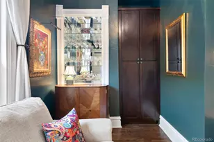 258 N Grant St, Denver, CO 80203 - Photo 15