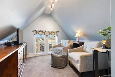 258 N Grant Street, Denver, CO 80203 - Photo 31