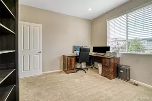 3810 Cadence Dr, Castle Rock, CO 80109 - Photo 11