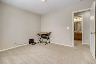 3810 Cadence Dr, Castle Rock, CO 80109 - Photo 29