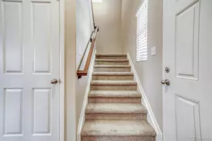 3810 Cadence Dr, Castle Rock, CO 80109 - Photo 13