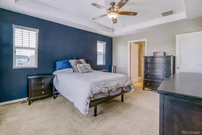 3810 Cadence Drive, Castle Rock, CO 80109 - Photo 19