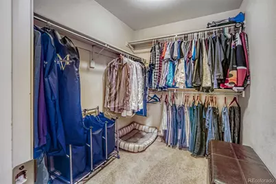 3810 Cadence Drive, Castle Rock, CO 80109 - Photo 23