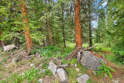 0057 County Road 675, Breckenridge, CO 80424 - Photo 35