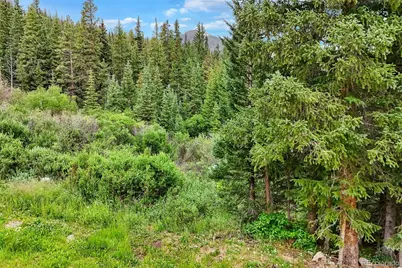0057 County Road 675, Breckenridge, CO 80424 - Photo 27