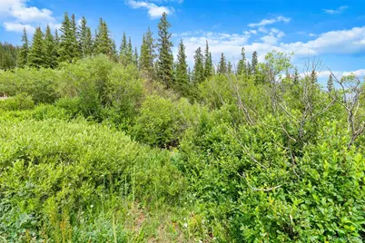 0057 County Road 675, Breckenridge, CO 80424 - Photo 31